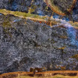 March 2020 (Shaker Village of Plesant Hill)